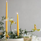 Taper Candles