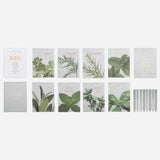 Herb Seed Kit