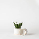 Sand Minimal Planter