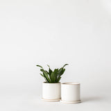 Sand Minimal Planter